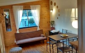 departamento valdivia